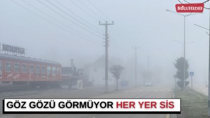BOLU'DA SİS ETKİLİ OLUYOR 