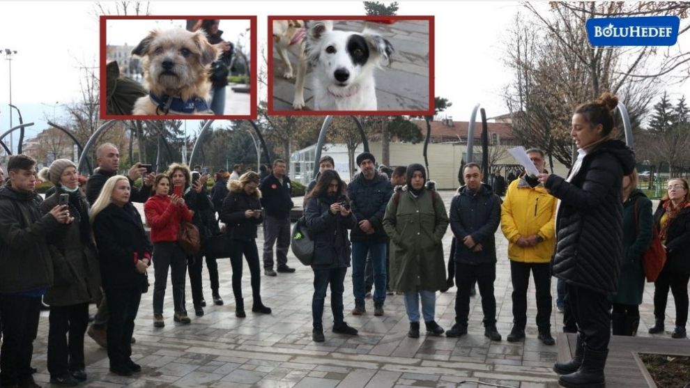 ''HAYVANLARIN YAŞAM HAKLARI İÇİN MÜCADELE EDEĞİMİZİ HAYKIRIYORUZ''
