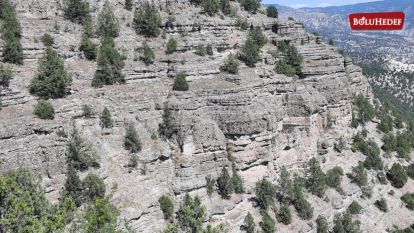 BOLU'DA FOSİL ARAŞTIRMA ORMANI ZİYARETE AÇILACAK