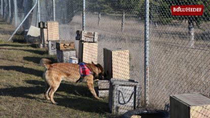 NARKOTİK KÖPEĞİ "ASIR" UYUŞTURUCUYA GEÇİT VERMİYOR 