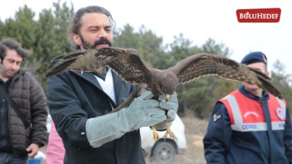 BOLU'DA TEDAVİSİ TAMAMLANAN ŞAHİN VE ATMACA DOĞAYA SALINDI