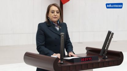 ÇOCUK İSTİSMARI KOMİSYONU'NDA  BAŞKANVEKİLİ OLDU 
