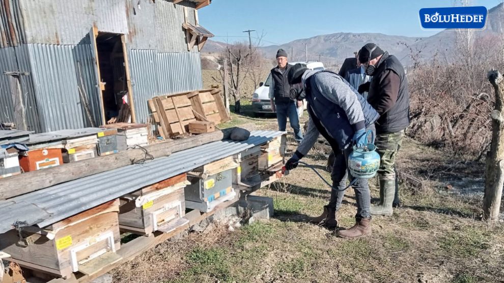 ARI KENESİNE KARŞI İLAÇLAMA YAPILDI