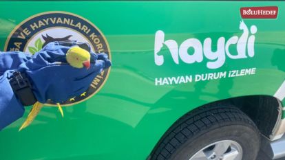 YOLCU OTOBÜSÜNDE 9 İSTİLACI YEŞİL PAPAĞAN ELE GEÇİRİLDİ