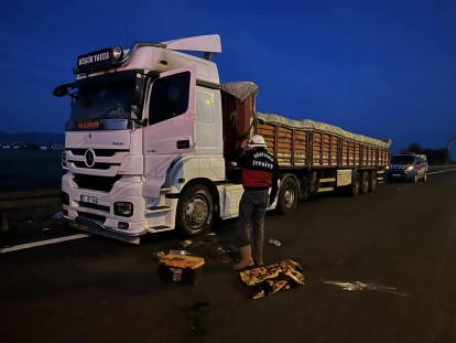 SEYİR HALİNDEYKEN YANAN TIR SÖNDÜRÜLDÜ