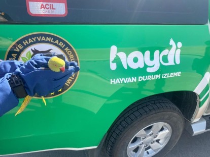 YOLCU OTOBÜSÜNDE 9 İSTİLACI YEŞİL PAPAĞAN ELE GEÇİRİLDİ