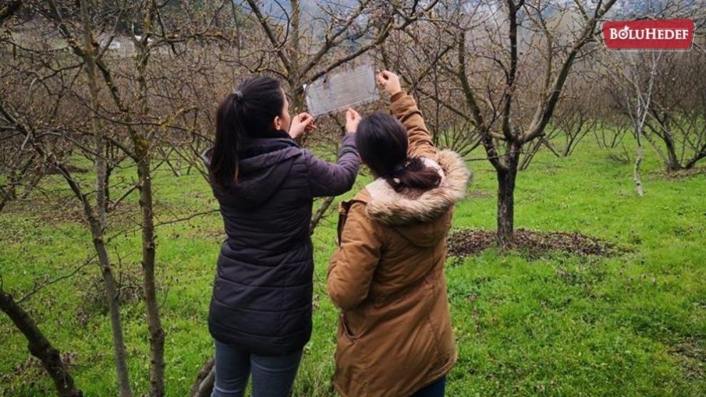FINDIK BAHÇELERİNDE BİLGİLENDİRME ÇALIŞMALARI SÜRÜYOR