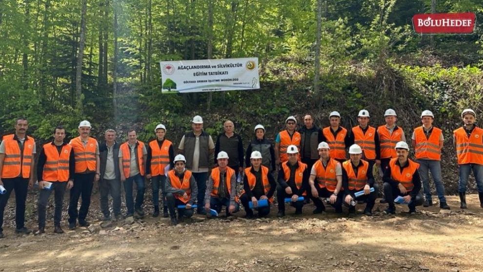 GÖLKAYA'DA SİLVİKÜLTÜR TATBİKATI YAPILDI