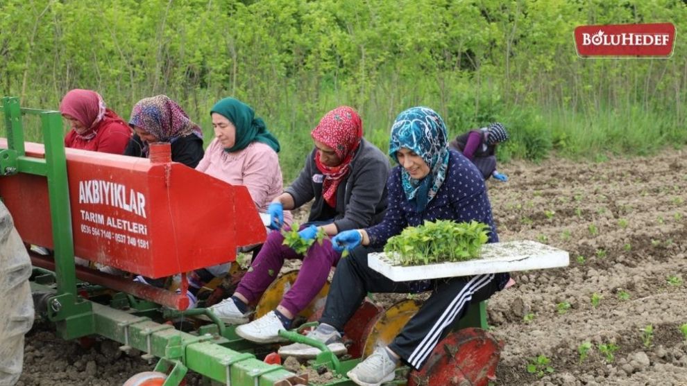 BOLU BELEDİYESİ ORGANİK TARIMDA ÖNCÜ