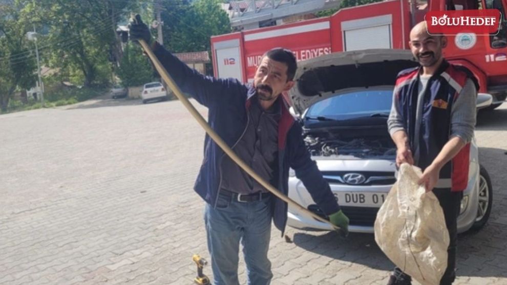 2 METRE UZUNLUĞUNDAKİ YILANI İTFAİYE EKİPLERİ ÇIKARDI