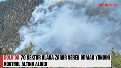 BOLU'DA 70 HEKTAR ALANA ZARAR VEREN ORMAN YANGINI KONTROL ALTINA ALINDI