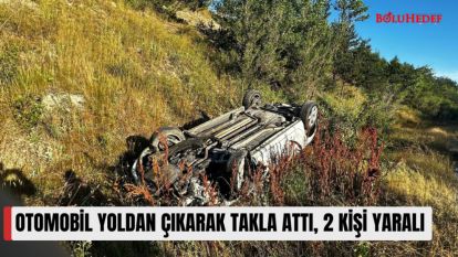 OTOMOBİL YOLDAN ÇIKARAK TAKLA ATTI, 2 KİŞİ YARALI
