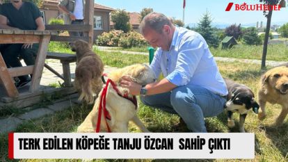 TERK EDİLEN KÖPEĞE TANJU ÖZCAN  SAHİP ÇIKTI