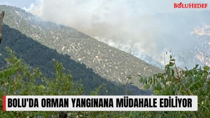 BOLU'DA ORMAN YANGINANA MÜDAHALE EDİLİYOR