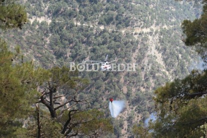 GÖYNÜK'TEKİ ORMAN YANGININA HAVADAN MÜDAHALE DEVAM EDİYOR