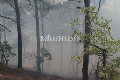 GÖYNÜK'TEKİ ORMAN YANGININA HAVADAN MÜDAHALE DEVAM EDİYOR
