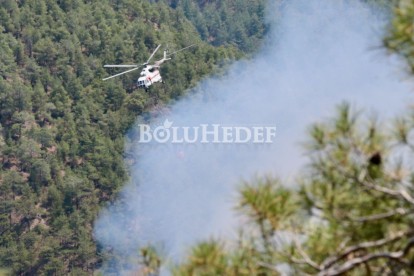 GÖYNÜK'TEKİ ORMAN YANGININA HAVADAN MÜDAHALE DEVAM EDİYOR