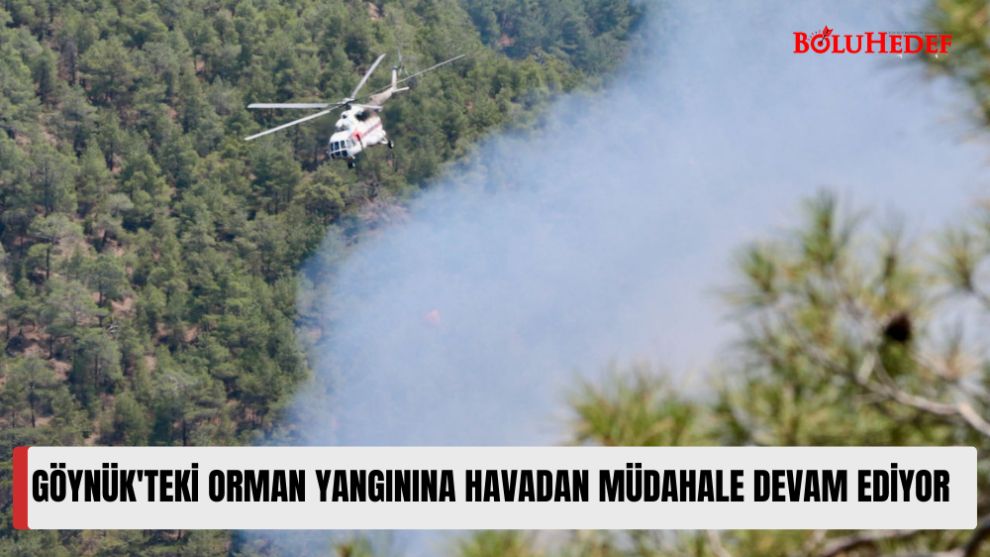 GÖYNÜK'TEKİ ORMAN YANGININA HAVADAN MÜDAHALE DEVAM EDİYOR