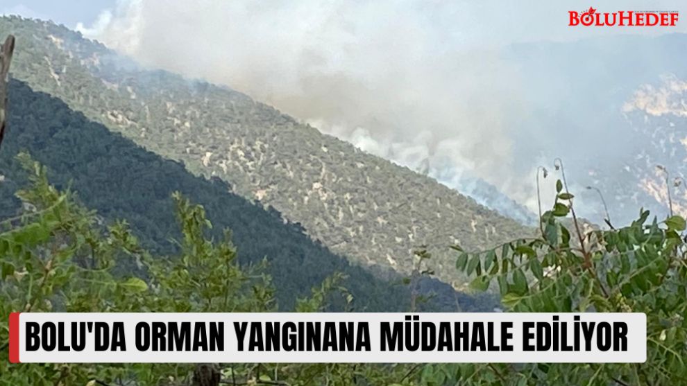 BOLU'DA ORMAN YANGINANA MÜDAHALE EDİLİYOR