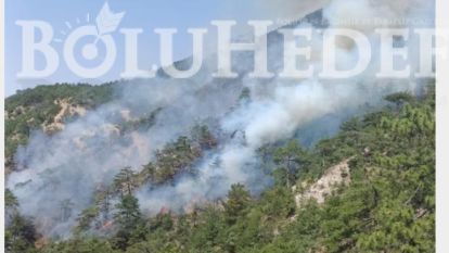 BOLU'DA ORMAN YANGINANA MÜDAHALE EDİLİYOR 
