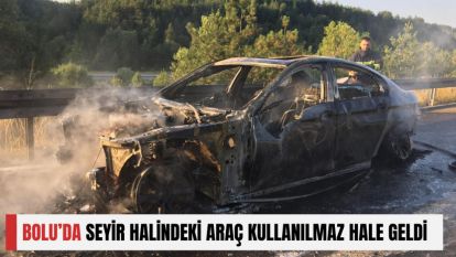 BOLU'DA SEYİR HALİNDEKİ ARAÇ KULLANILMAZ HALE GELDİ