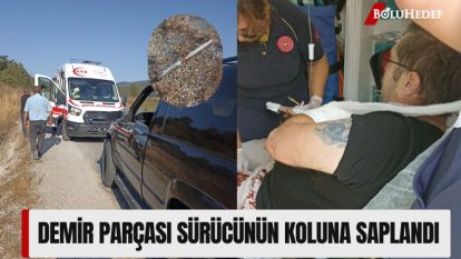 DEMİR PARÇASI SÜRÜCÜNÜN KOLUNA SAPLANDI