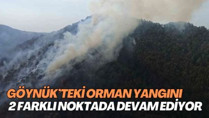 GÖYNÜK'TEKİ ORMAN YANGINI 2 FARKLI NOKTADA DEVAM EDİYOR