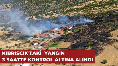KIBRISCIK'TA YANGIN 3 SAATTE KONTROL ALTINA ALINDI