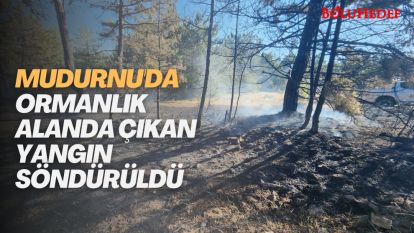 MUDURNU'DA ORMANLIK ALANDA ÇIKAN YANGIN SÖNDÜRÜLDÜ 