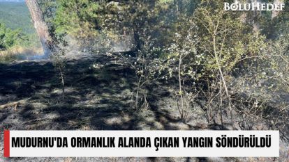 MUDURNU'DA ORMANLIK ALANDA ÇIKAN YANGIN SÖNDÜRÜLDÜ 
