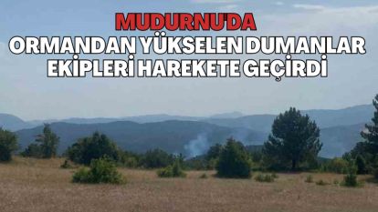 ORMANDA YÜKSELEN DUMANLAR EKİPLERİ HAREKETE GEÇİRDİ