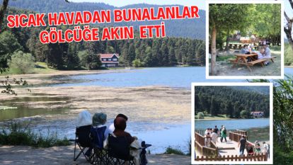 SICAK HAVADAN BUNALANLAR GÖLCÜĞE AKIN  ETTİ 