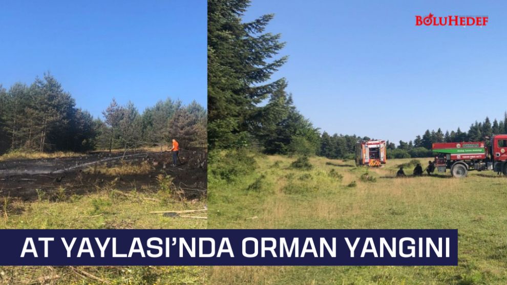 AT YAYLASI’NDA ORMAN YANGINI