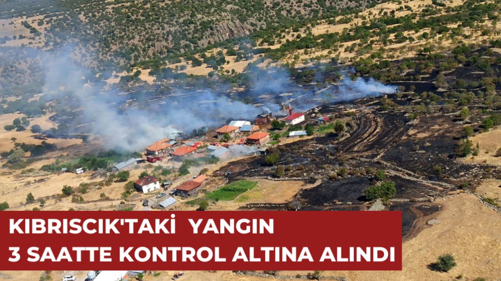 KIBRISCIK'TA YANGIN 3 SAATTE KONTROL ALTINA ALINDI