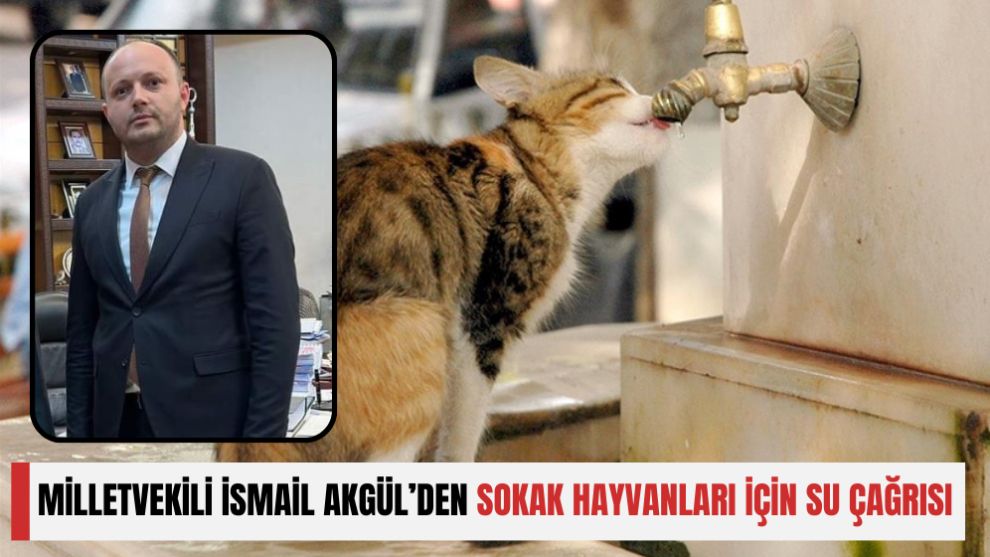 MİLLETVEKİLİ İSMAİL AKGÜL’DEN SOKAK HAYVANLARI İÇİN SU ÇAĞRISI