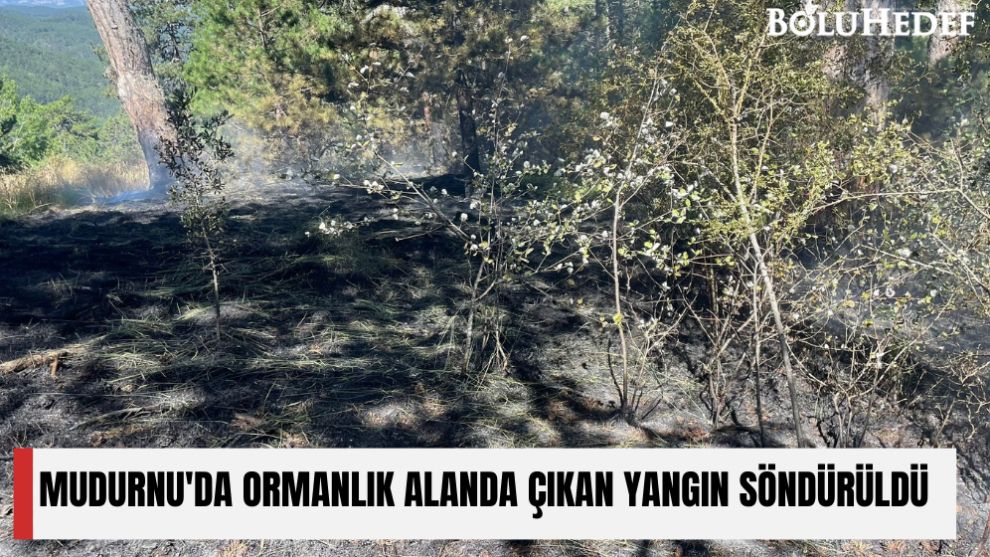 MUDURNU'DA ORMANLIK ALANDA ÇIKAN YANGIN SÖNDÜRÜLDÜ