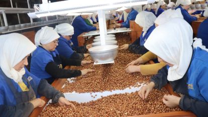 Fındıkta 2 milyar doların üzerinde ihracat hedefleniyor