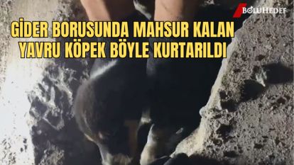 GİDER BORUSUNDA MAHSUR KALAN YAVRU KÖPEK BÖYLE KURTARILDI