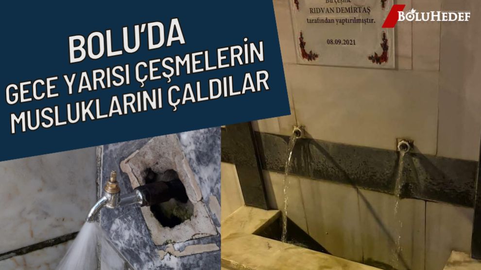 BOLU'YA MUSLUK HIRSIZLARI DADANDI