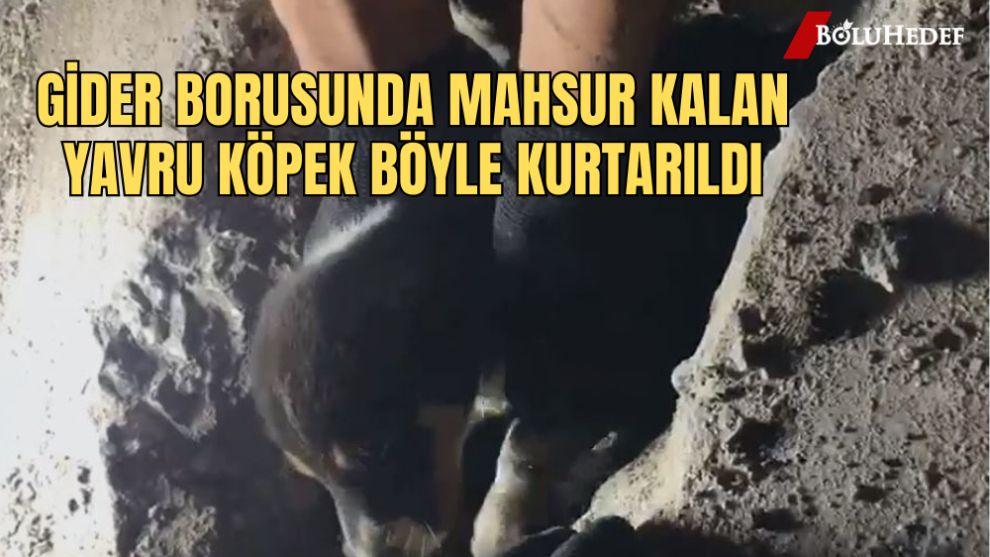 GİDER BORUSUNDA MAHSUR KALAN YAVRU KÖPEK BÖYLE KURTARILDI