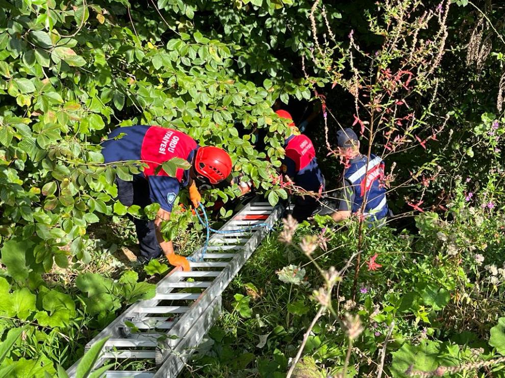 Ordu’da ormanlık alana devrilen motosikletin sürücüsü yaralandı