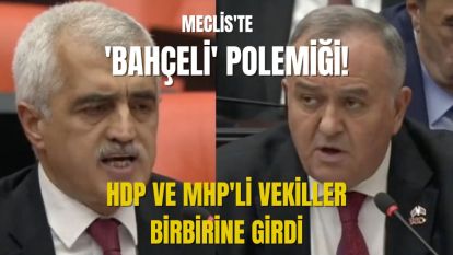 HDP VE MHP'Lİ VEKİLLER BİRBİRİNE GİRDİ