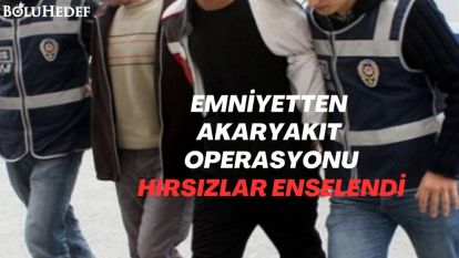HIRSIZLAR ENSELENDİ