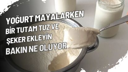 Yoğurt mayalarken bir tutam tuz ve şeker ekleyin, bakın ne oluyor