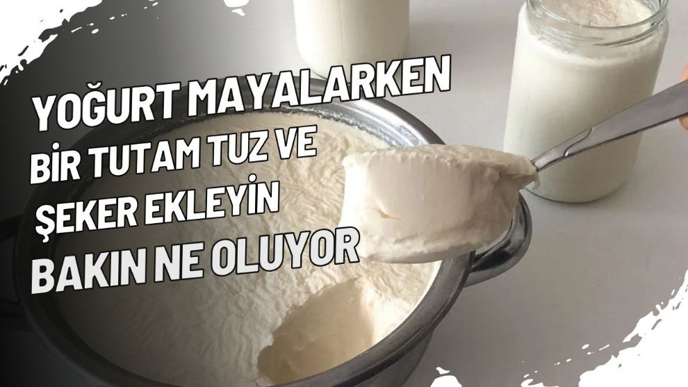 Yoğurt mayalarken bir tutam tuz ve şeker ekleyin, bakın ne oluyor