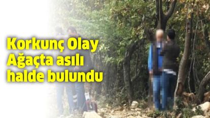 Düzce'de fındık bahçesinde ağaca asılı bir erkek cesedi bulundu.