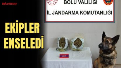 EKİPLER ENSELEDİ