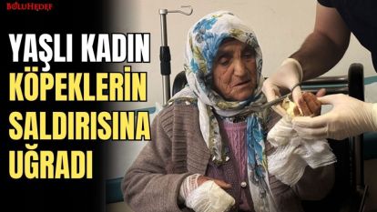 YAŞLI KADIN KÖPEKLERİN SALDIRISINA UĞRADI