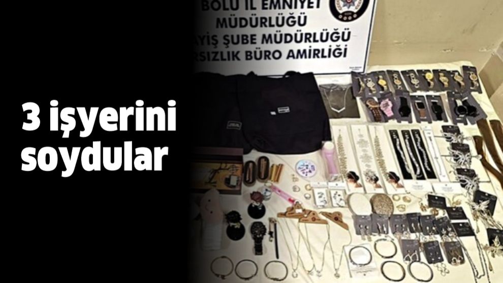 Bolu'da 3 işyerini soydular