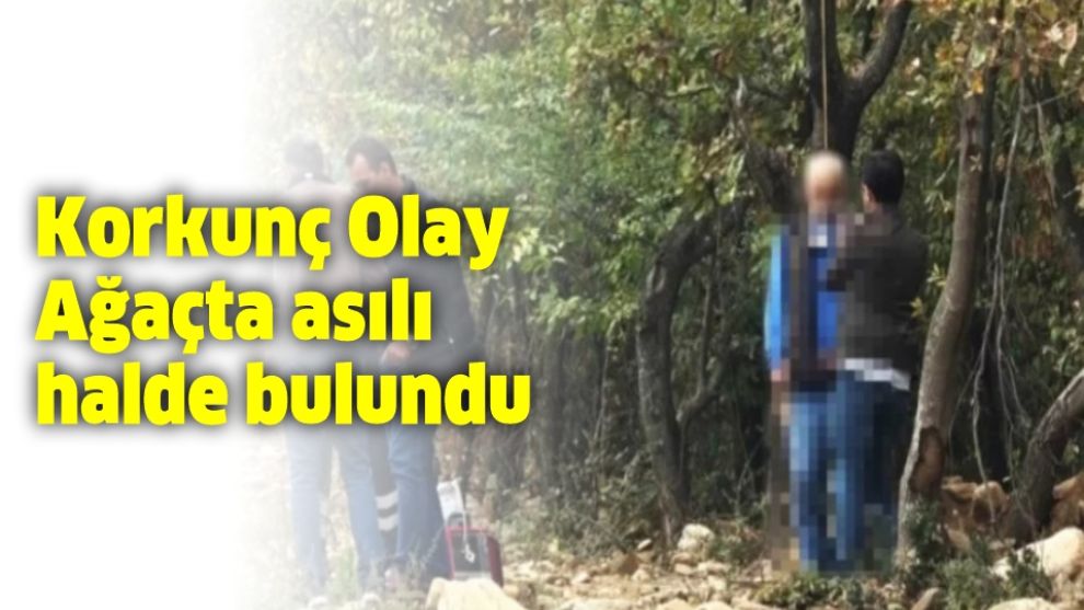 Düzce'de fındık bahçesinde ağaca asılı bir erkek cesedi bulundu.